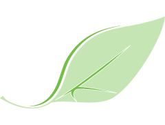 서경대학교 공식시그니처의 S와 K를 강조한 녹색 월계수 잎 이미지