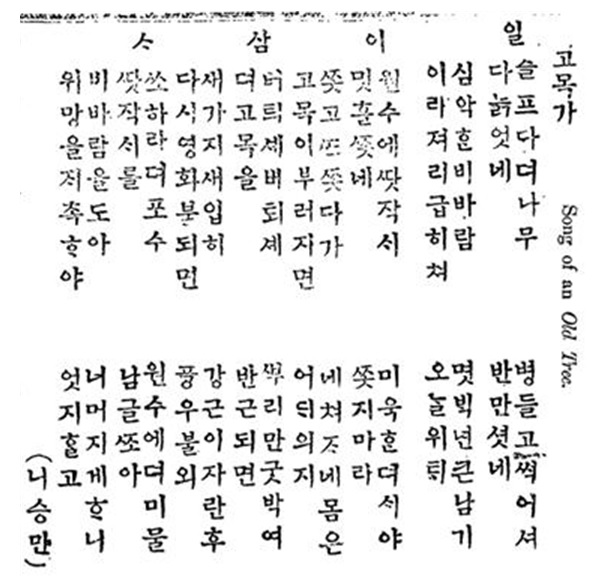 고목가 1.jpg