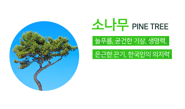 서경대학교상징 교목 소나무. 늘 푸름, 굳건한 기상, 생명력, 은근한 끈기, 한국인의 의지력