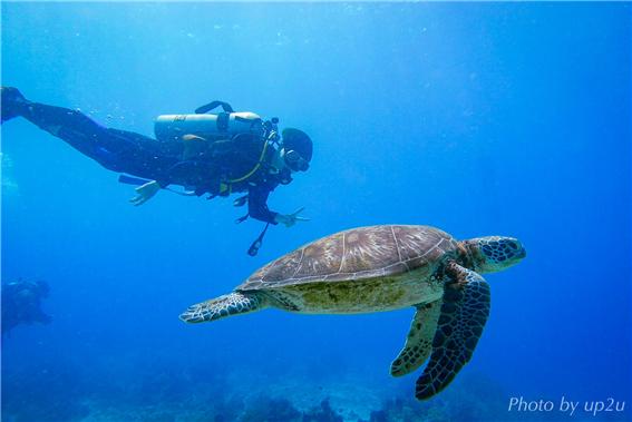 서경대학교 스쿠버 동아리 SST 6.jpg