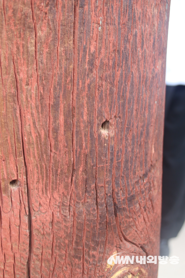 [특별기획] 차(茶)와 예(禮), 여유와 평화, 영월향교에 담겼다(10).jpg