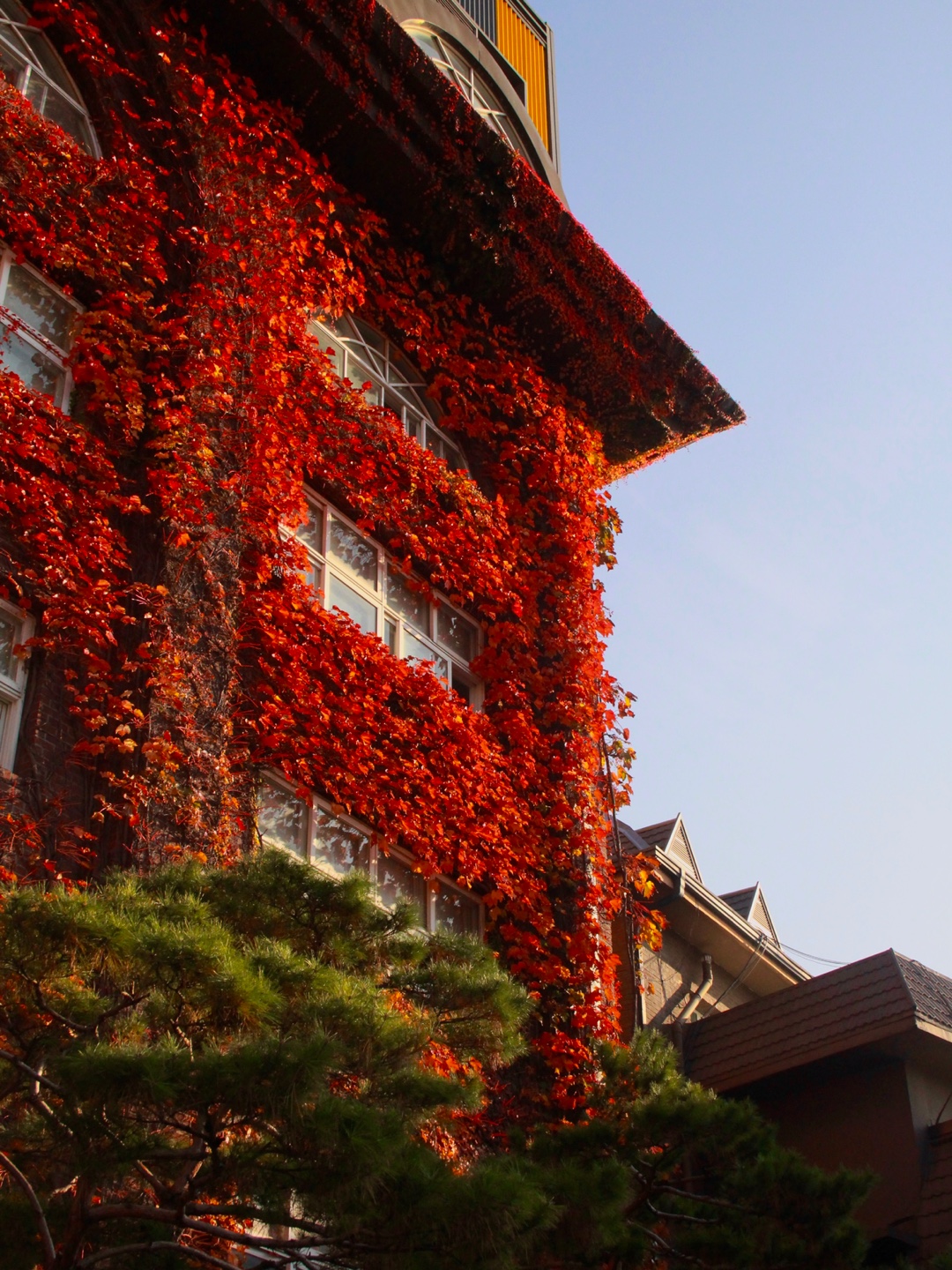 ‘캠퍼스 속 가을, 나만의 시선으로 바라보다’ 2024 서경대학교 가을 사진 공모전 상황리에 개최. 글로벌비즈니스어학부 20학번 서지석 학우 ‘최우수상’ 수상 ···‘최우수상’ 수상자 서지석 학우 인터뷰(3).jpg