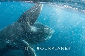 우리의 지구.jpg