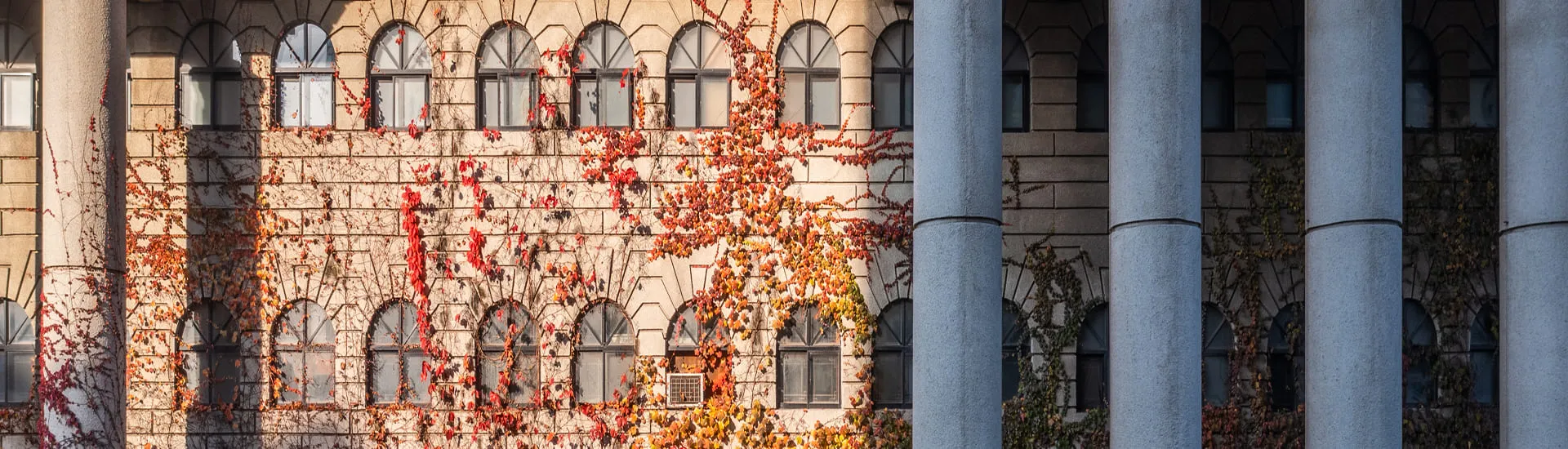 서브페이지 백그라운드 이미지