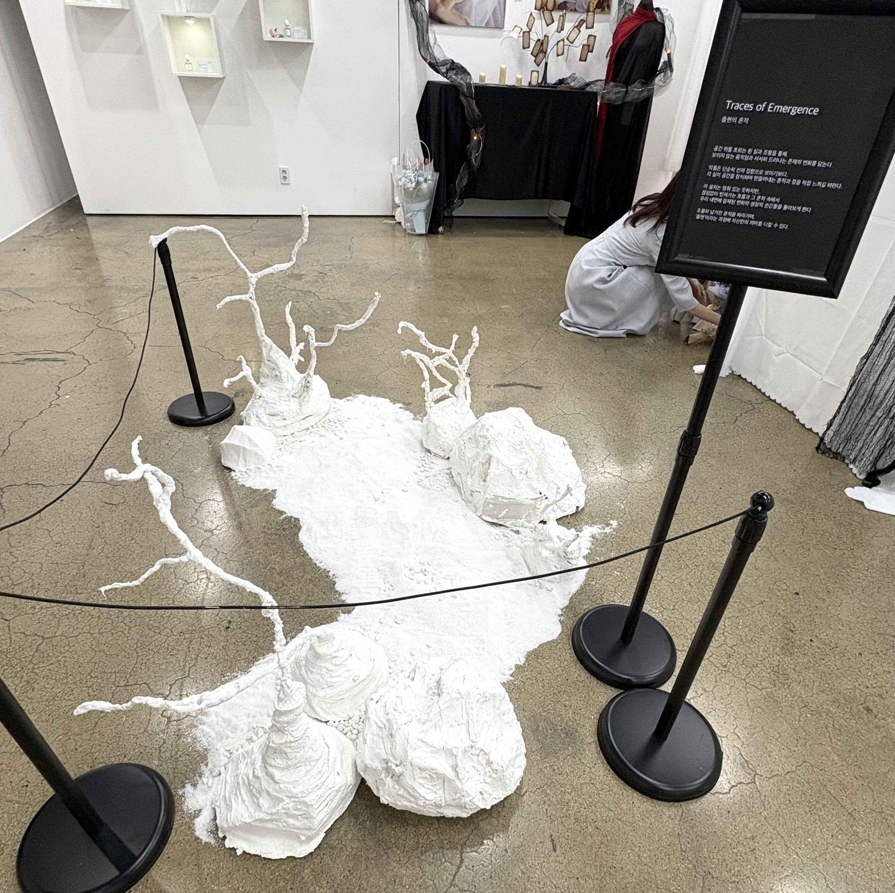 서경대학교 미용예술대학 ‘코스메틱&뷰티테라피학과 제6회 졸업전시회’ 성황리에 개최(8).jpg