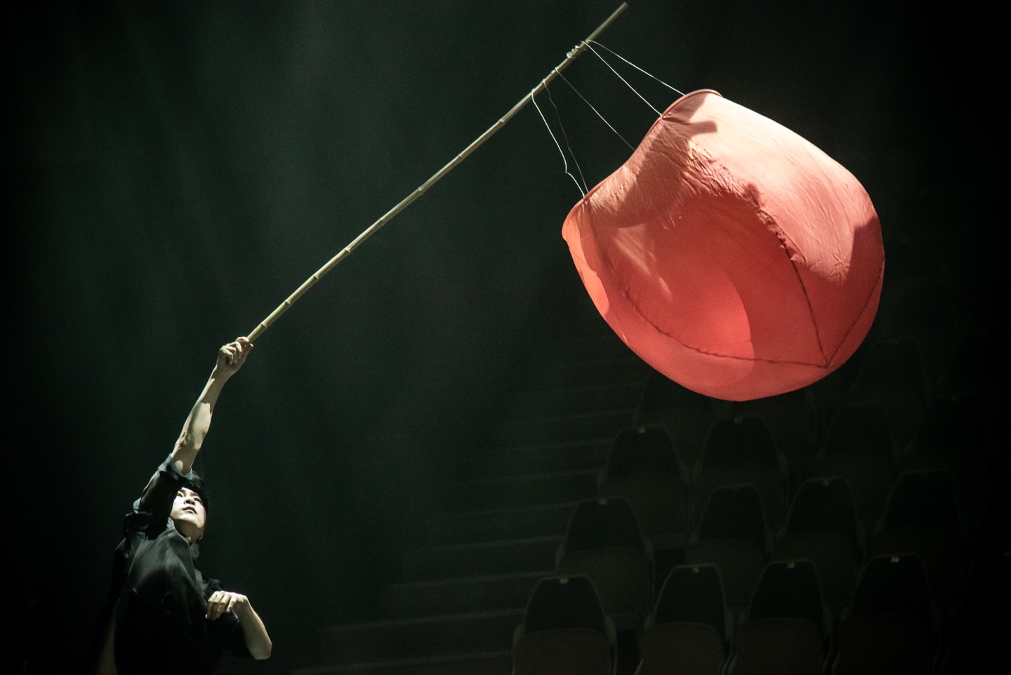 서경대학교 무용예술학부 한국무용전공 재학생들, (사)보훈무용예술협회 주최 ‘2024 보훈무용제-우리춤 전시회’ 및 (사)한국춤협회 주최 ‘2024 춤&판 고무신 춤축제’ 참가 (5).jpg