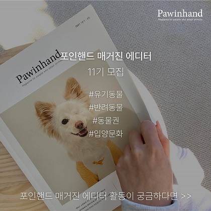 포인핸드 매거진 에디터 11기.jpg