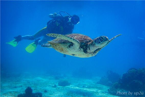 서경대학교 스쿠버 동아리 SST 4.jpg