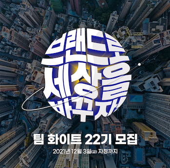 팀 화이트 22기 모집 포스터.jpeg