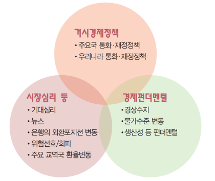 [서기수 교수의 성공투자 법칙⑫] 환율의 변동 요인과 종류(2).png