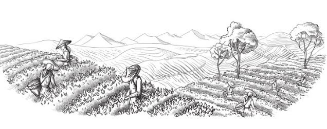 진세근 교수 칼럼 2.JPG