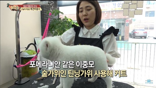 취업이 보인다(12).JPG