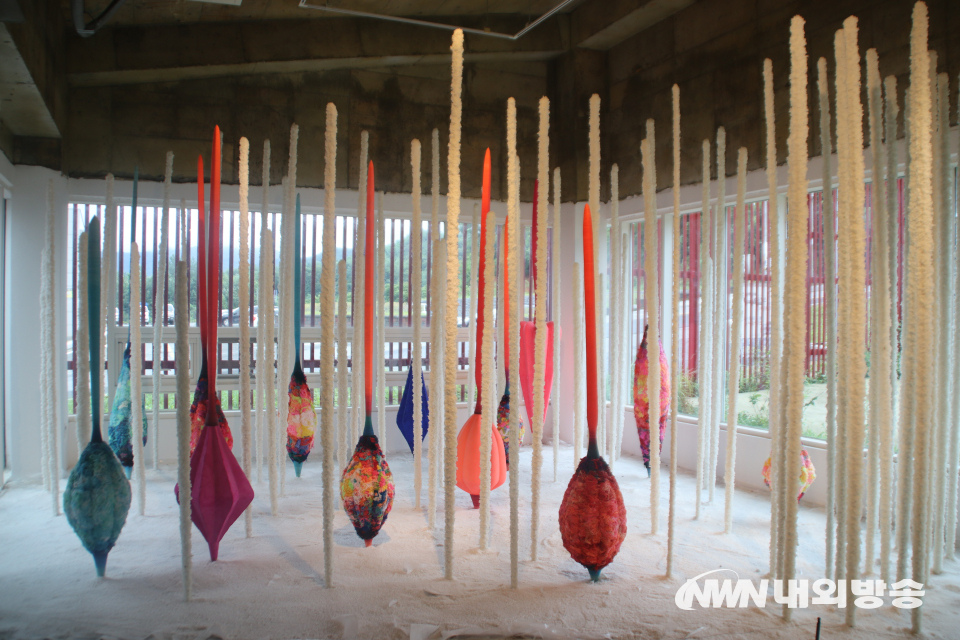 [특별기획] 인생샷 남기자 문화가 영월을 핫 플레이스로 만들다(10).jpg