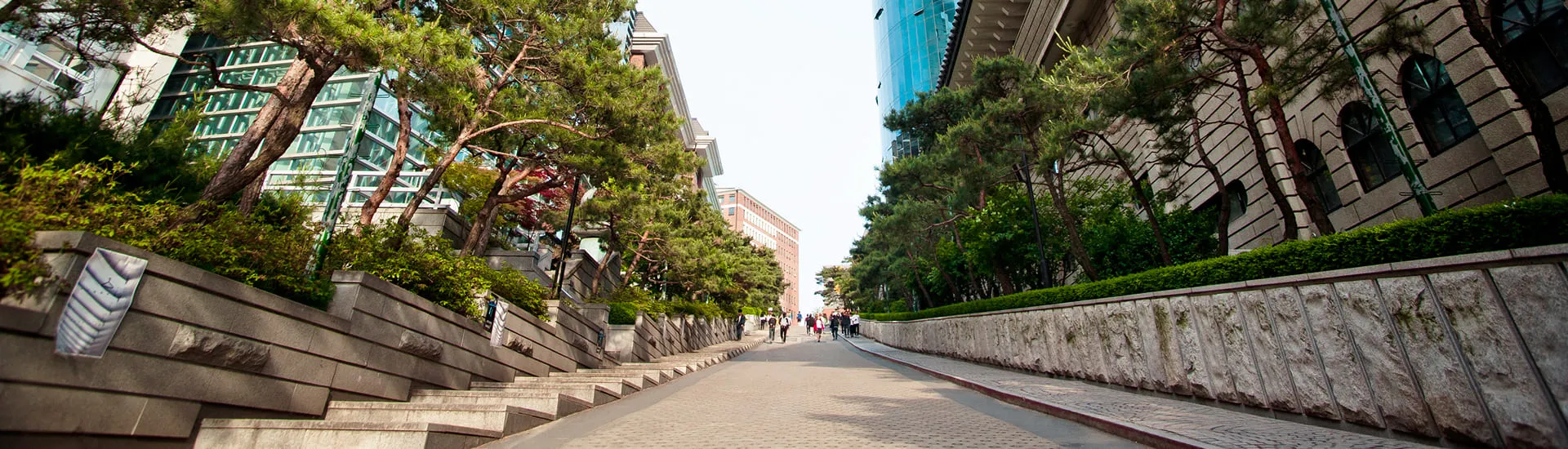 서브페이지 백그라운드 이미지