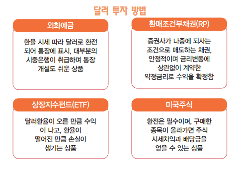 서기수 서경대 금융정보학과 교수 칼럼:[서기수 교수의 성공투자 법칙⑭] 달러 투자 방법2.png