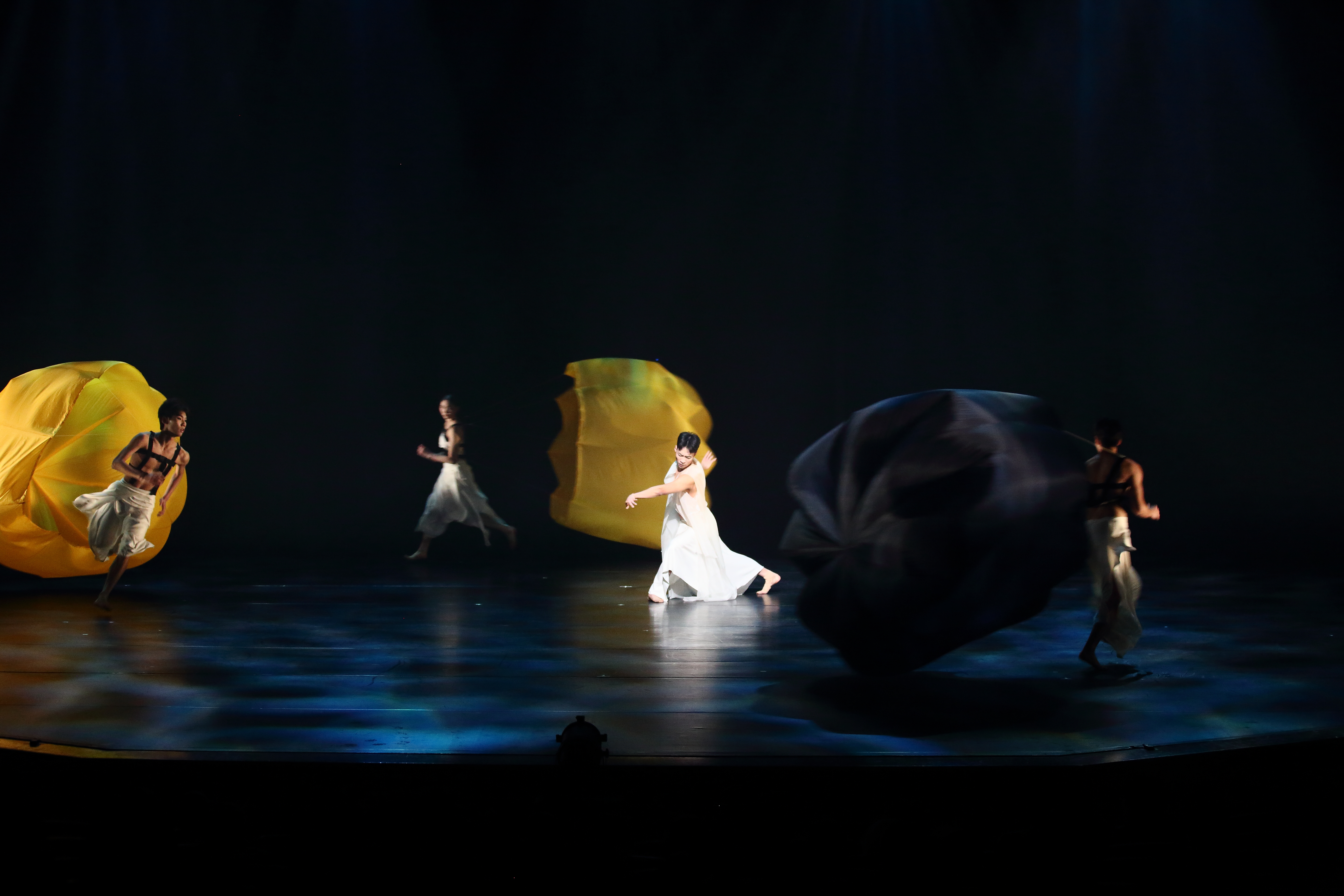 서경대학교 무용예술학부 한국무용전공 재학생들, (사)보훈무용예술협회 주최 ‘2024 보훈무용제-우리춤 전시회’ 및 (사)한국춤협회 주최 ‘2024 춤&판 고무신 춤축제’ 참가 (3).jpg