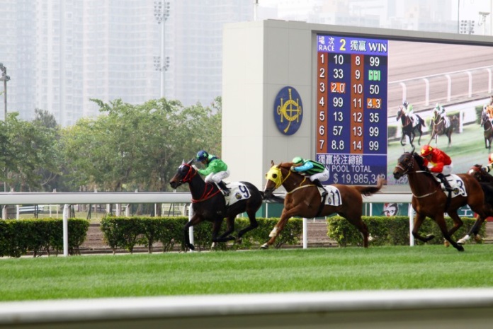 진세근 교수 칼럼4.jpg