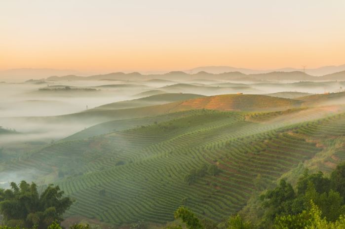 진세근 교수 칼럼 5.JPG