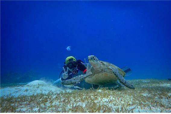 서경대학교 스쿠버 동아리 SST 5.jpg