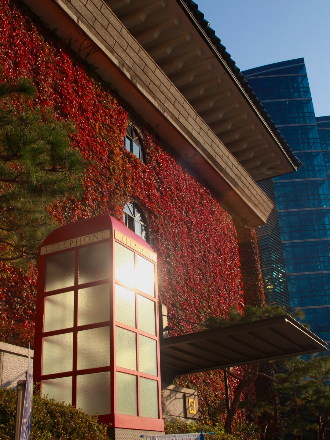 ‘캠퍼스 속 가을, 나만의 시선으로 바라보다’ 2024 서경대학교 가을 사진 공모전 상황리에 개최. 글로벌비즈니스어학부 20학번 서지석 학우 ‘최우수상’ 수상 ···‘최우수상’ 수상자 서지석 학우 인터뷰(4).jpg