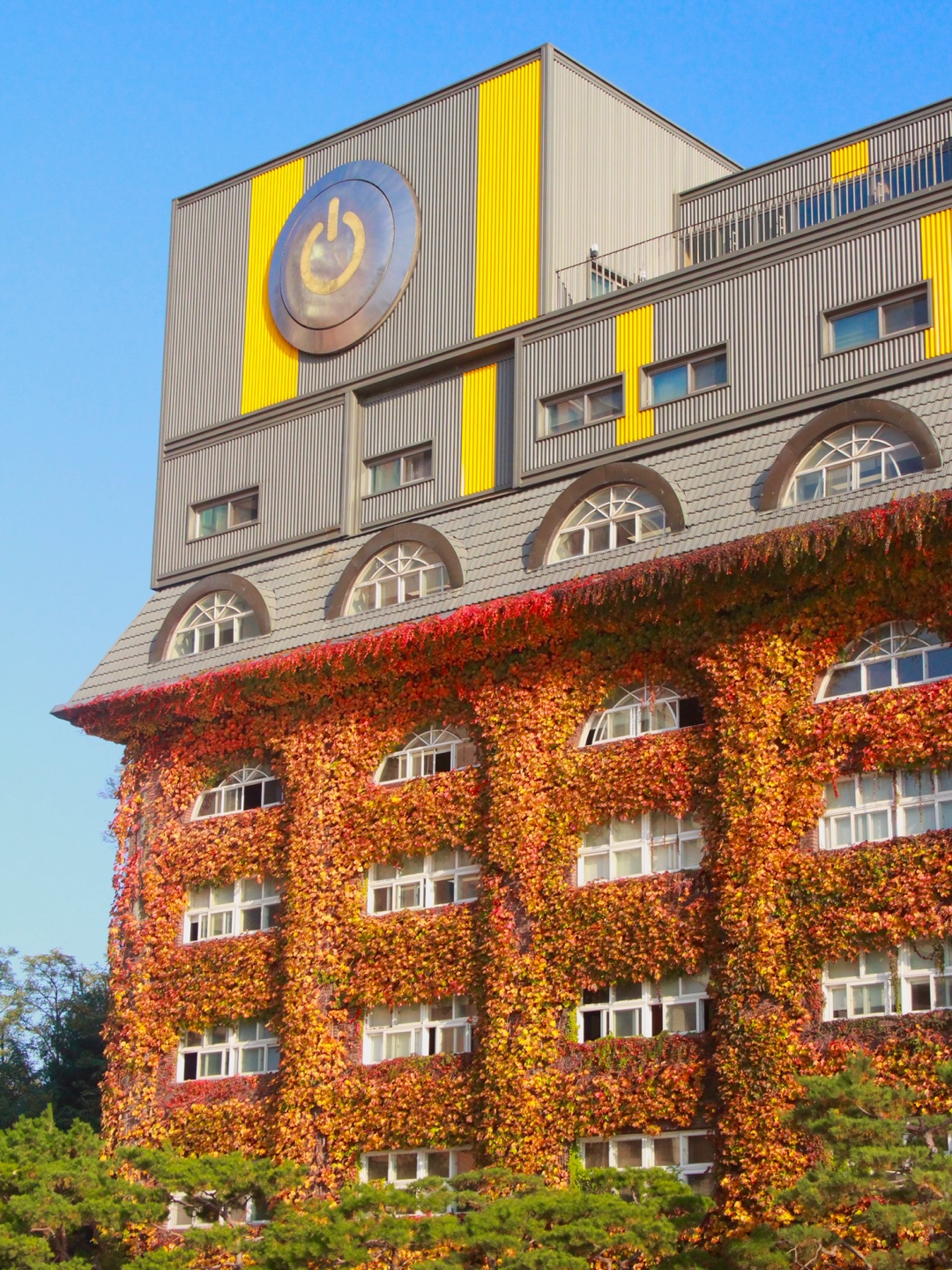 ‘캠퍼스 속 가을, 나만의 시선으로 바라보다’ 2024 서경대학교 가을 사진 공모전 상황리에 개최. 글로벌비즈니스어학부 20학번 서지석 학우 ‘최우수상’ 수상 ···‘최우수상’ 수상자 서지석 학우 인터뷰(2).jpg