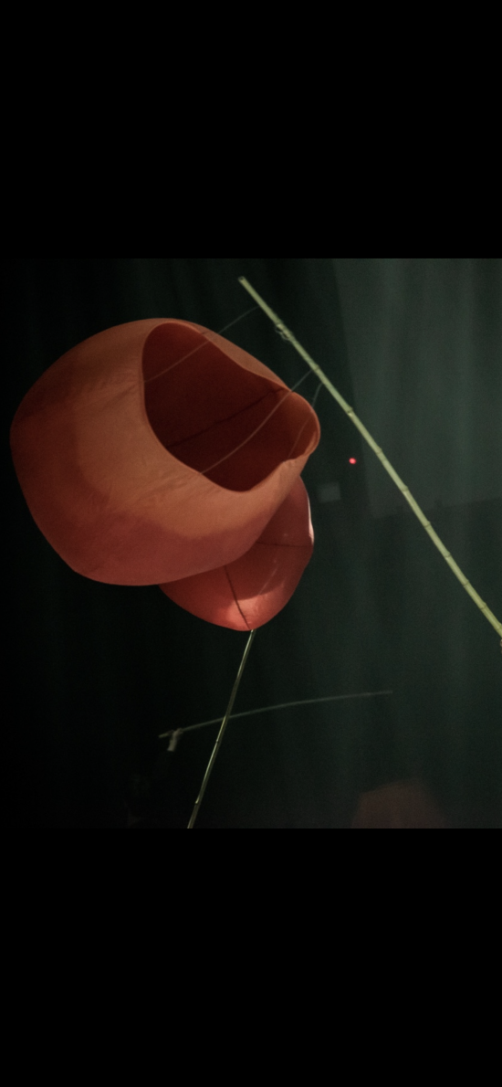 제20회 창작발표회 및 제23회 쇼케이스 (4).png