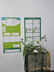 서경대학교 미용예술대학 뷰티테라피&메이크업학과 제4회 졸업전시회 작품사진(12).png