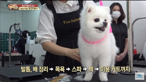 취업이 보인다(10).JPG