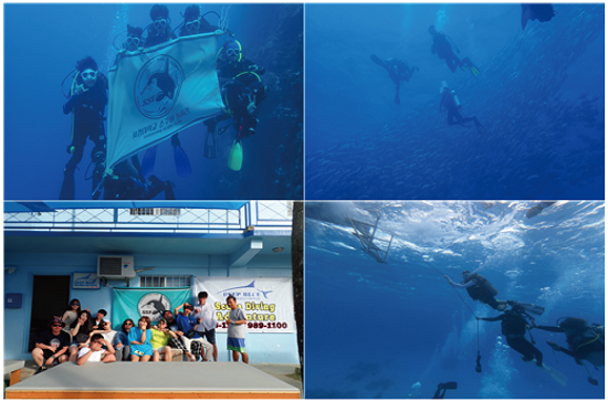 'SST' 활동 사진.png