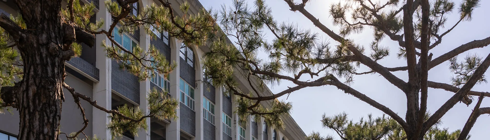 서브페이지 백그라운드 이미지