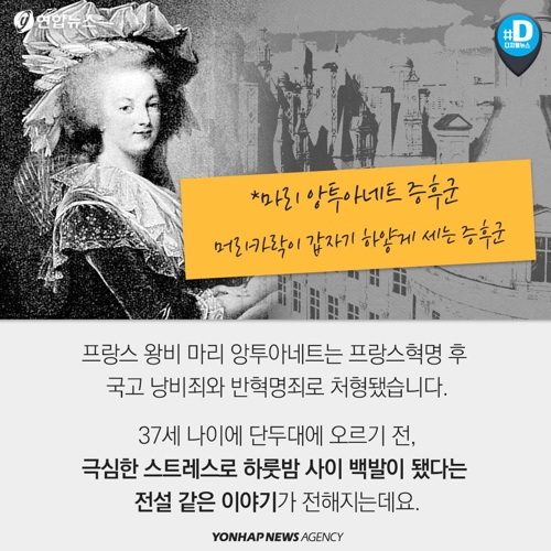 연합뉴스2.jpg
