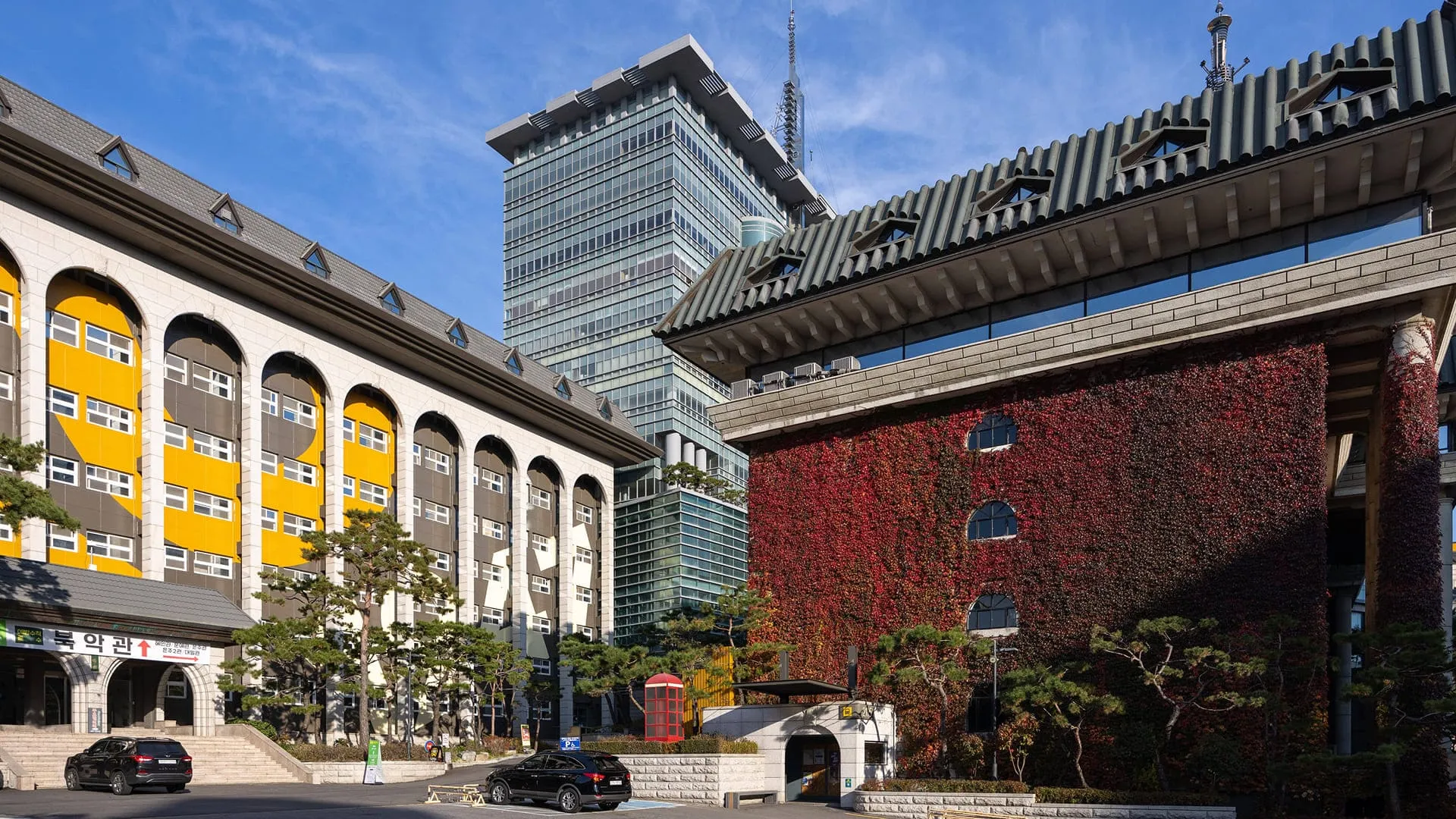 서브페이지 백그라운드 이미지