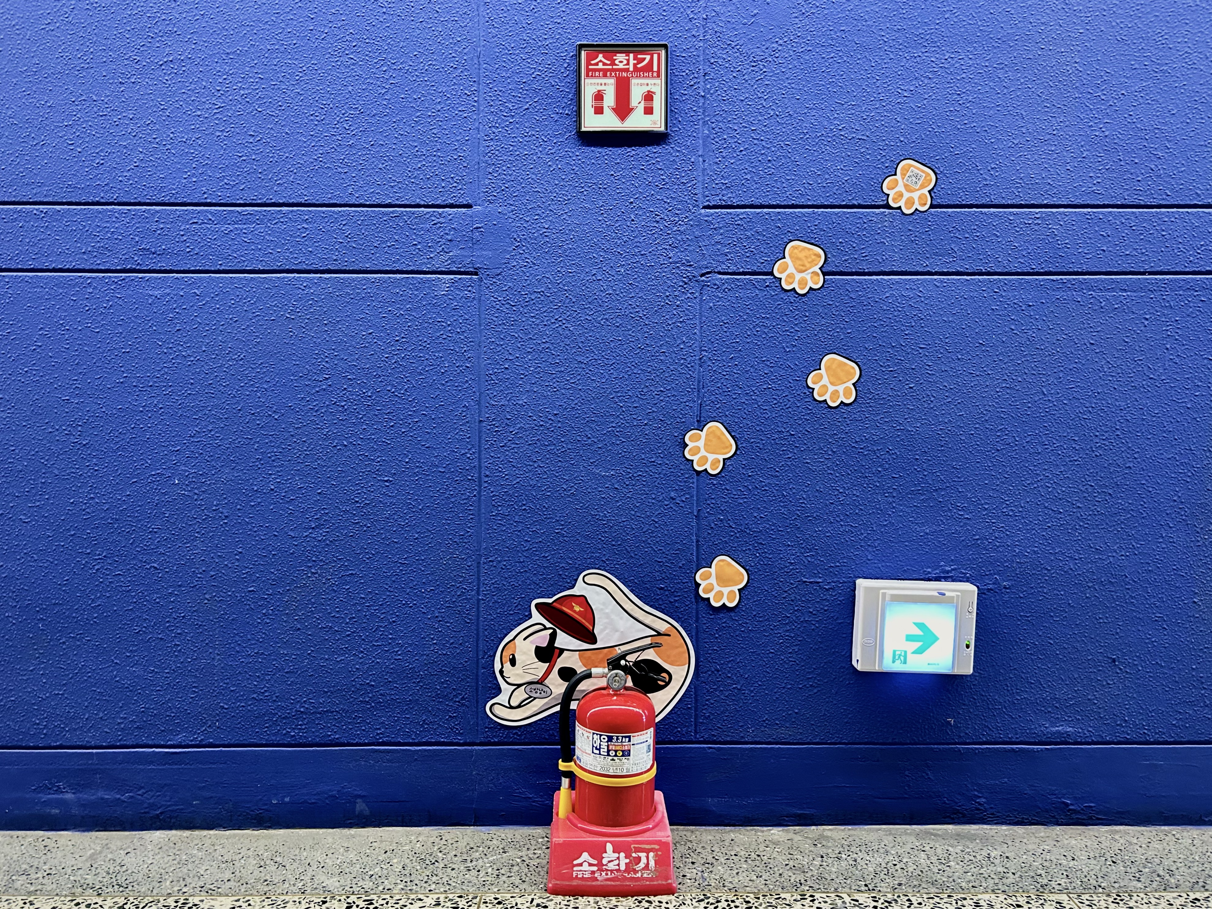 서경대 광고홍보콘텐츠학과 학생들, 소화기 인식 캠페인 ‘소방냥이를 찾아라!’ 진행...일상 속 소화기 위치 알린다(2).png